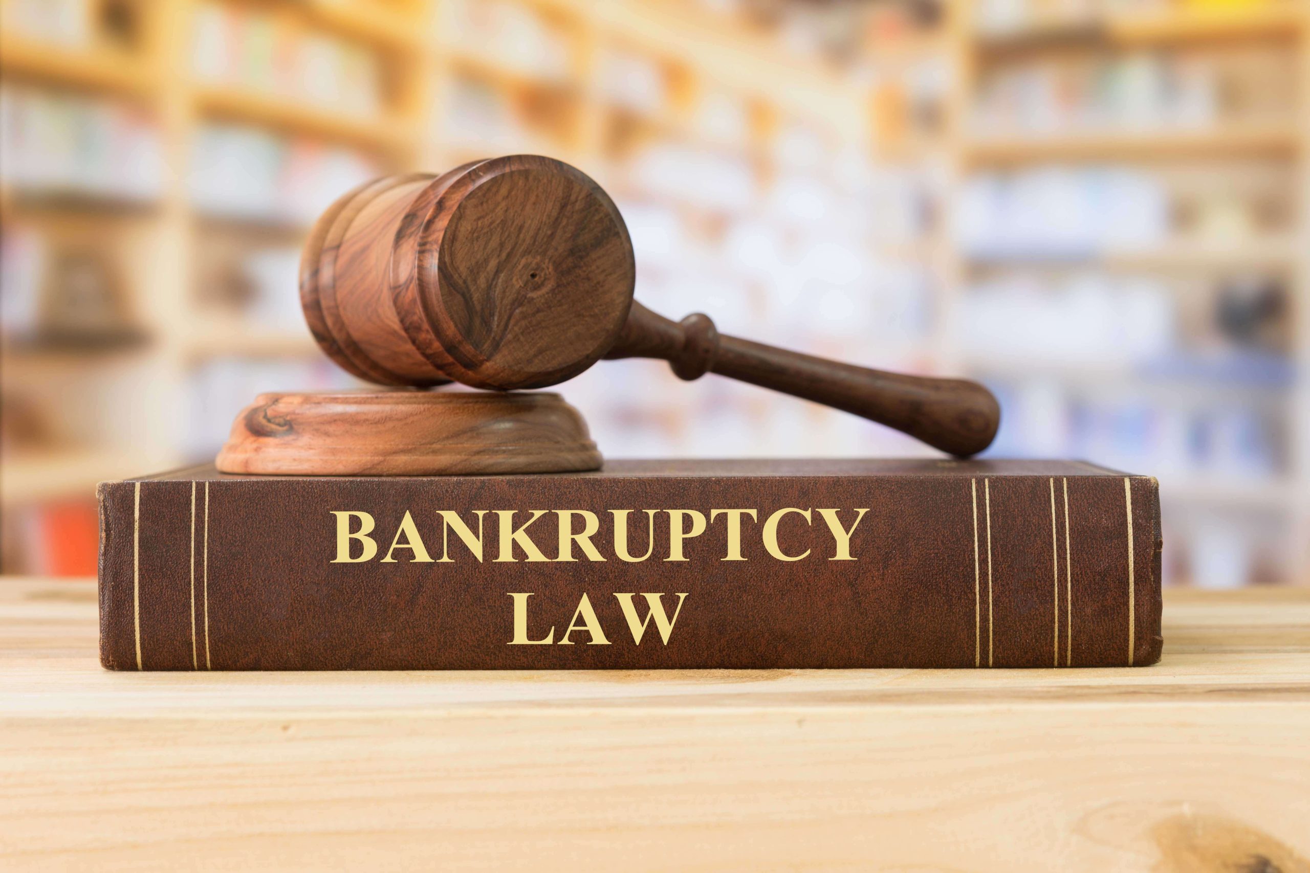 Understanding Bankruptcy Law in Idaho Falls - Key information about the laws and statutes governing the process of bankruptcy.